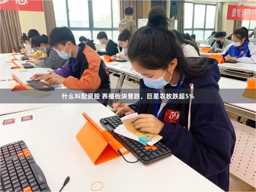 什么叫配资股 养殖板块普跌，巨星农牧跌超5%