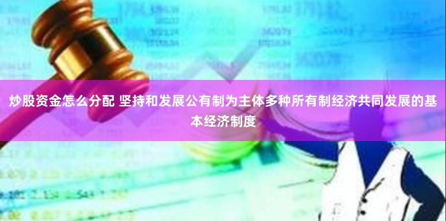 炒股资金怎么分配 坚持和发展公有制为主体多种所有制经济共同发展的基本经济制度