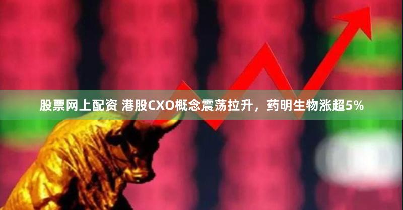 股票网上配资 港股CXO概念震荡拉升，药明生物涨超5%