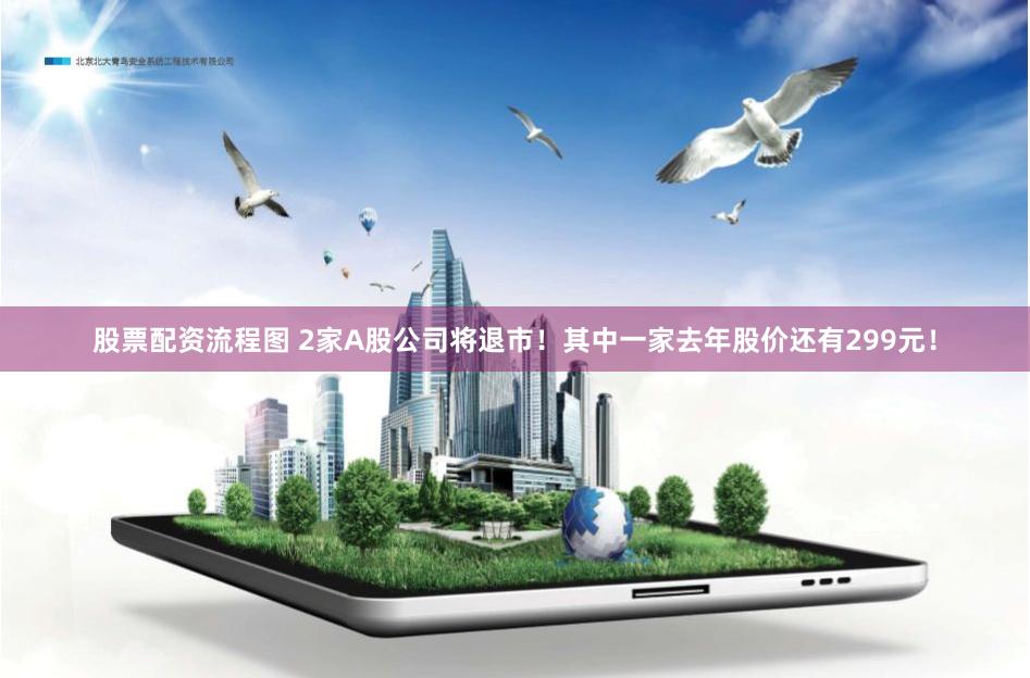 股票配资流程图 2家A股公司将退市！其中一家去年股价还有299元！