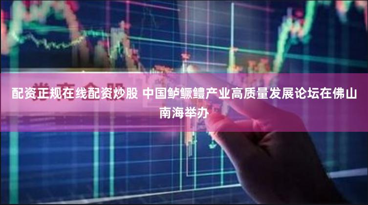 配资正规在线配资炒股 中国鲈鳜鳢产业高质量发展论坛在佛山南海举办