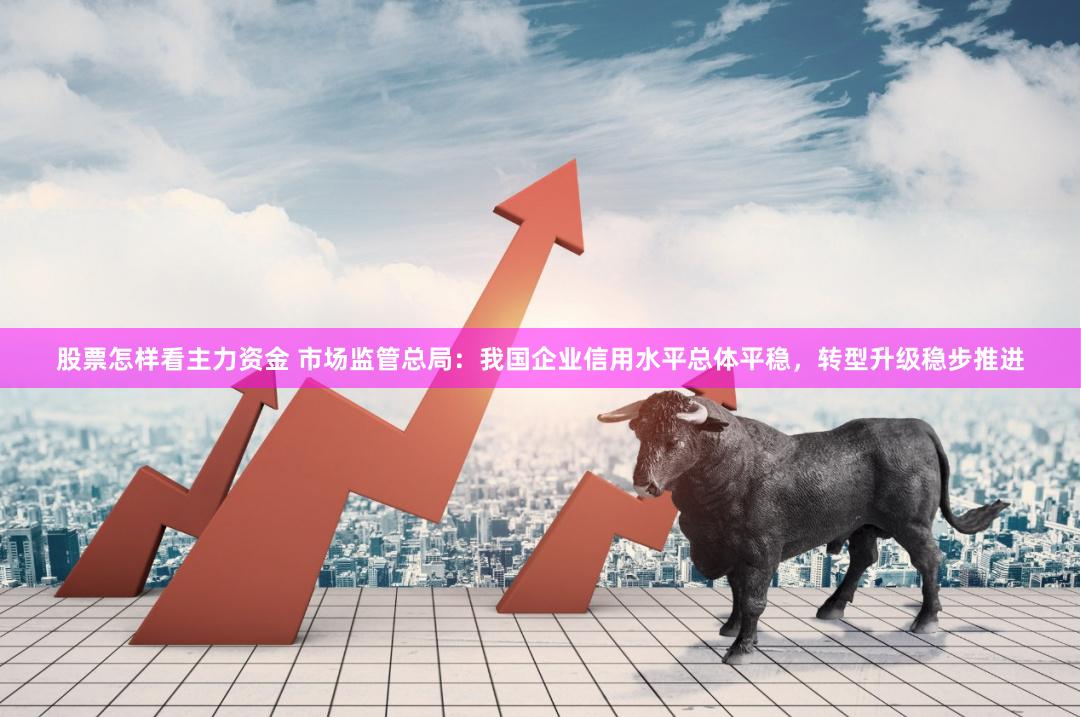 股票怎样看主力资金 市场监管总局：我国企业信用水平总体平稳，转型升级稳步推进