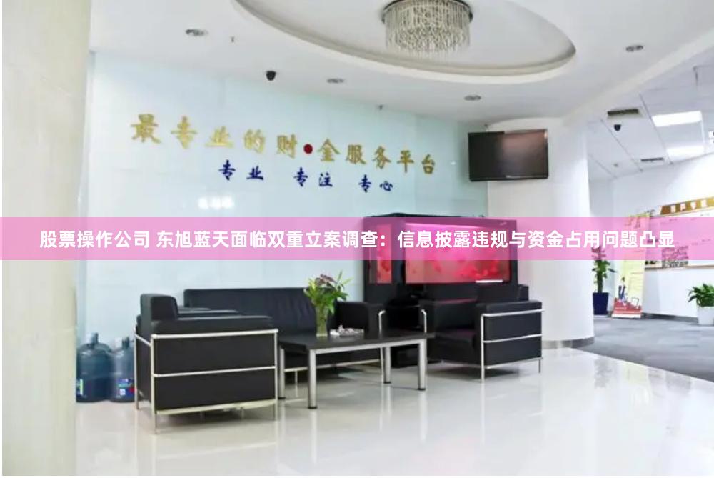 股票操作公司 东旭蓝天面临双重立案调查：信息披露违规与资金占用问题凸显