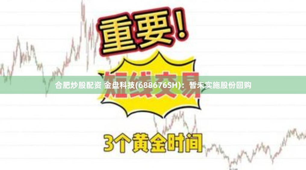 合肥炒股配资 金盘科技(688676SH)：暂未实施股份回购