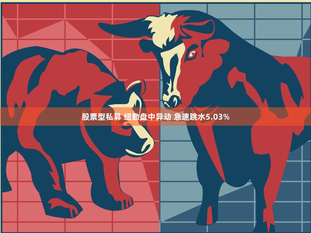 股票型私募 纽勤盘中异动 急速跳水5.03%