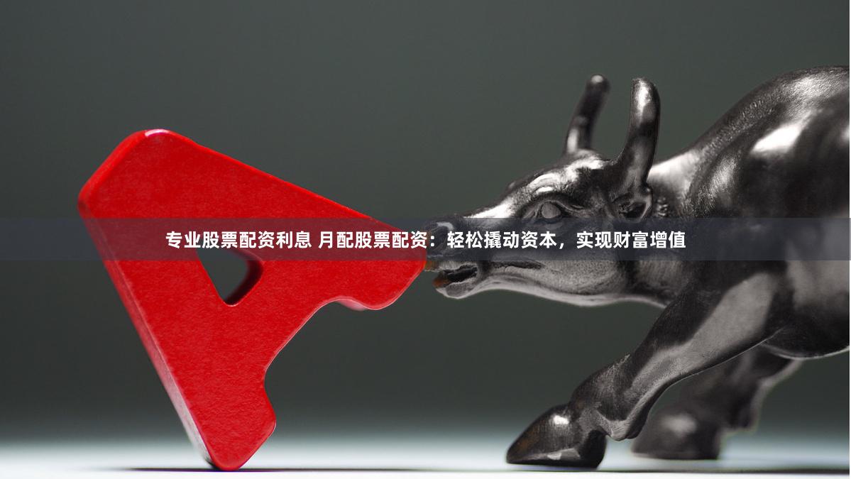 专业股票配资利息 月配股票配资：轻松撬动资本，实现财富增值