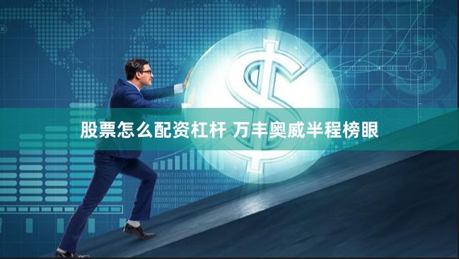 股票怎么配资杠杆 万丰奥威半程榜眼