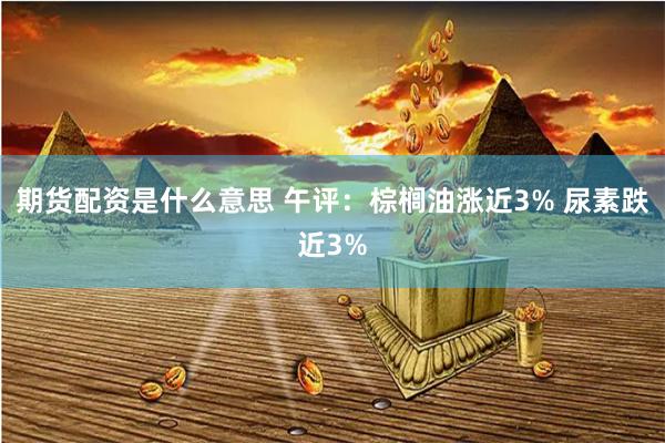 期货配资是什么意思 午评：棕榈油涨近3% 尿素跌近3%