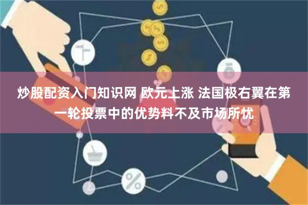 炒股配资入门知识网 欧元上涨 法国极右翼在第一轮投票中的优势料不及市场所忧